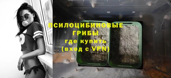 МДМА Новодвинск
