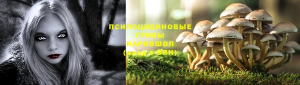 гидра Кадников