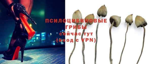 MESCALINE Новозыбков