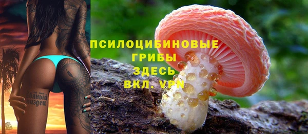 гидра Кадников