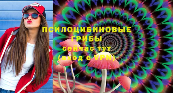 МДМА Новодвинск