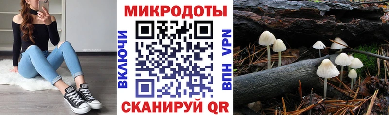Галлюциногенные грибы прущие грибы  Ростов 