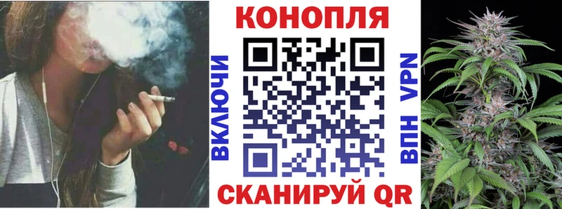 продажа наркотиков  блэк спрут ТОР  Конопля сатива  Ростов 
